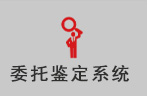 委托鉴定系统
